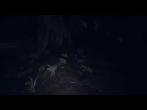 ویدیو جدید اریانا و نیکی میناژ Nicky Minanj 