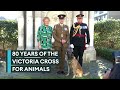 The Dickin Medal: Honouring the military&#39;s heroic frontline animals