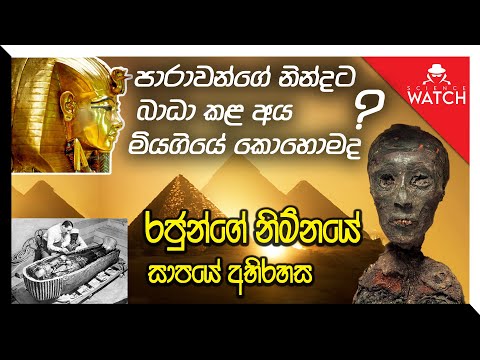 පාරාවන්ගේ නින්දට බාධා කළ අය මියගියේ කොහොම ද?