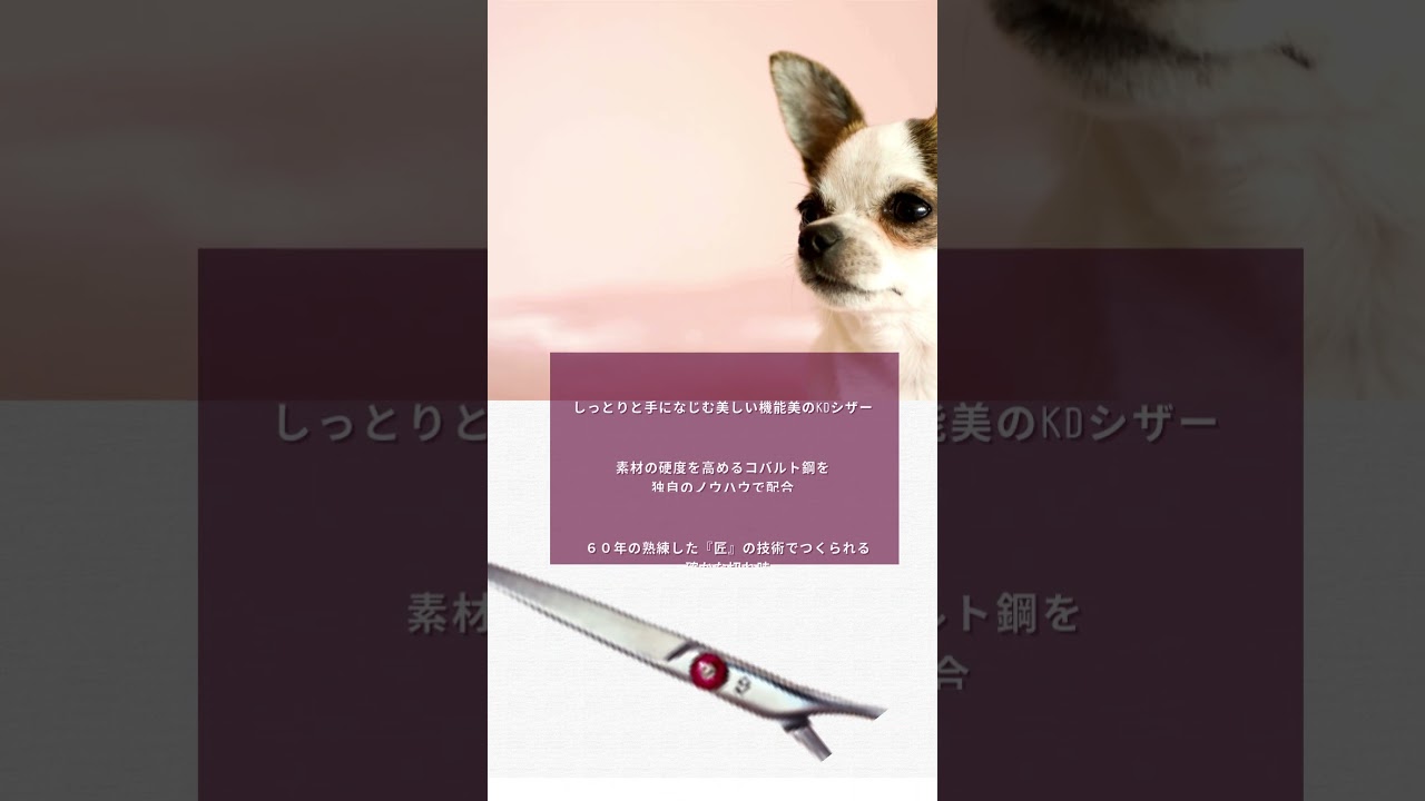 カドック KD500(KADOK/6.5インチ) ハサミ屋はやし