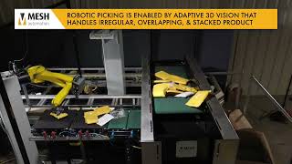 MESH XInduct: High-Speed Robotic Parcel Induction