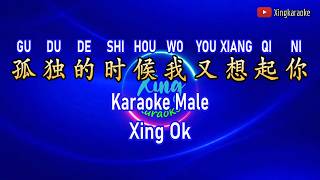 孤独的时候我又想起你  Gu Du De Shi Hou Wo You Xiang Qi Ni Male | Mandarin Karaoke No Vocal