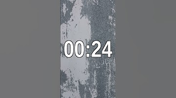 55 Second Digital Count up Timer 2