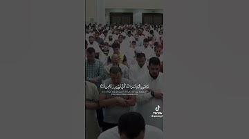 الشيخ ناصر القطامي مزامير الفرقان تلاوات القطامي