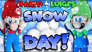 AMB - Mario & Luigi’s Snow Day!