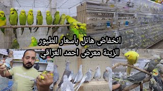 أنخفاض هائل بأسعار طيور الزينة معرض احمد العراقي في منطقة الكريعات/القصور اليوم الاربعاء 2022/12/21