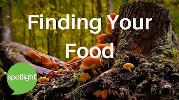 Finding Your Food | practice English with Spotlight