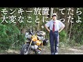 【事故寸前？】この夏バイク放置してたら大変なことになりました | モンキー125