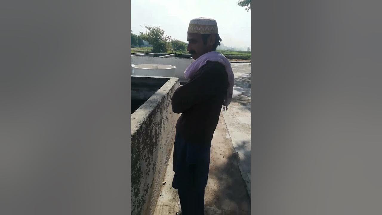 SGS imported fish farming in Rawalpindi Pakistan YouTube