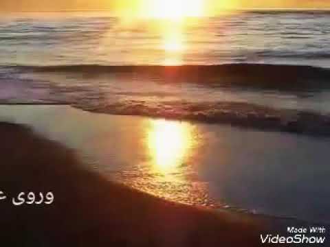 حالة واتس اب عمري ما تمنيت شي قمة الرووووعة 