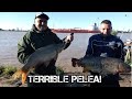 PESCA EN EL RIO TALAVERA 2021/TERRIBLES BOGONES Y CARPONES 6,7 Y 8 KILOS,IMPRESIONANTE!!