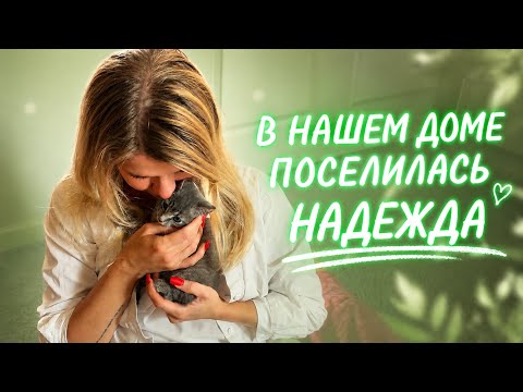 VLOG: NEW FAMILY MEMBER 🐈 | Vera is stressed 😥