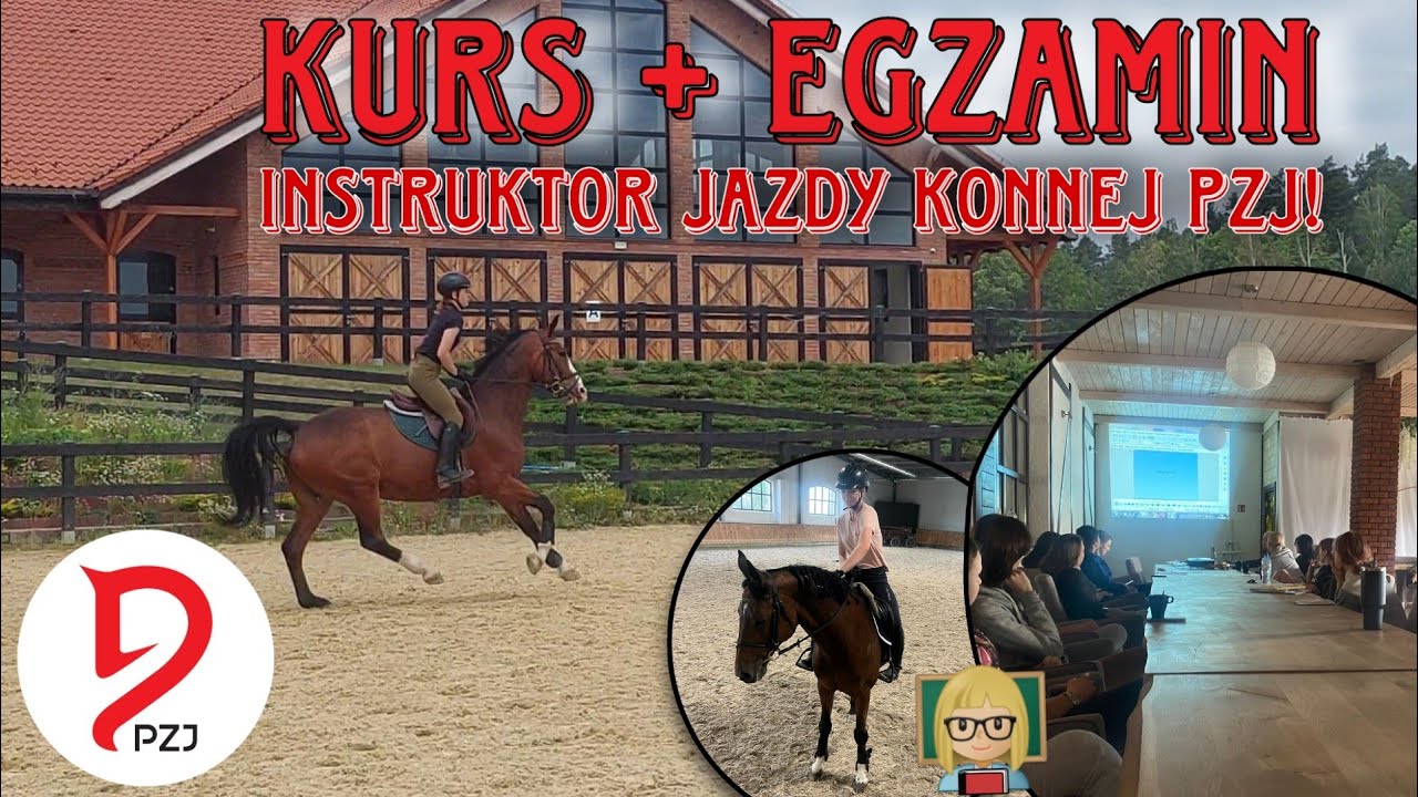 Kurs Na Instruktora Nauki Jazdy Konnej KURS, EGZAMIN INSTRUKTORA JAZDY KONNEJ PZJ || Jak wygląda? - YouTube
