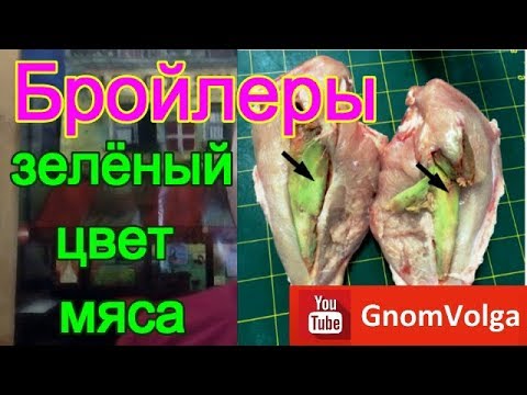 Бройлеры зелёный цвет мяса