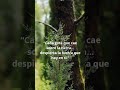 Tu tambien puede florecer en la tormenta. #asmr #nature #shortvideo #plants