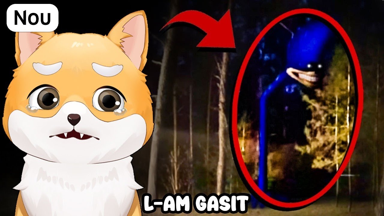 NU JUCA INTERZIS Shin Sonic! JOCUL NOU