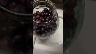 Yaşıl Və Qara Zeytun Hazırlanması Şfetteyiz