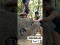 Subahnallah short part 2 #islamicshorts #quran shortvideo #viralshorts #nature #trending #viralvideo