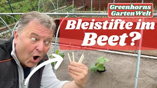 Warum ich Bleistifte ins Beet stecke 🌱✏️ | Elektrokultur einfach erklärt!