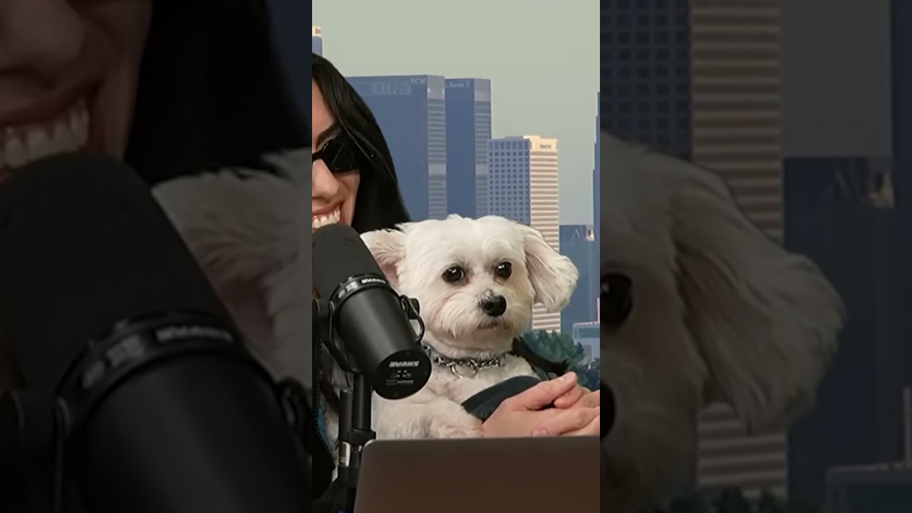 This has to be the cutest clip ever.