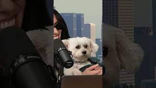 This has to be the cutest clip ever.