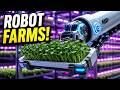 Inside the Mega-Factory Growing 1 Million Plants a Day