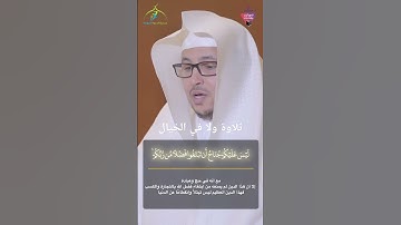 أجمل صوت ممكن تسمعه تلاوة ولا في الخيال القارئ #طاهر_الصميلي 🌧️
