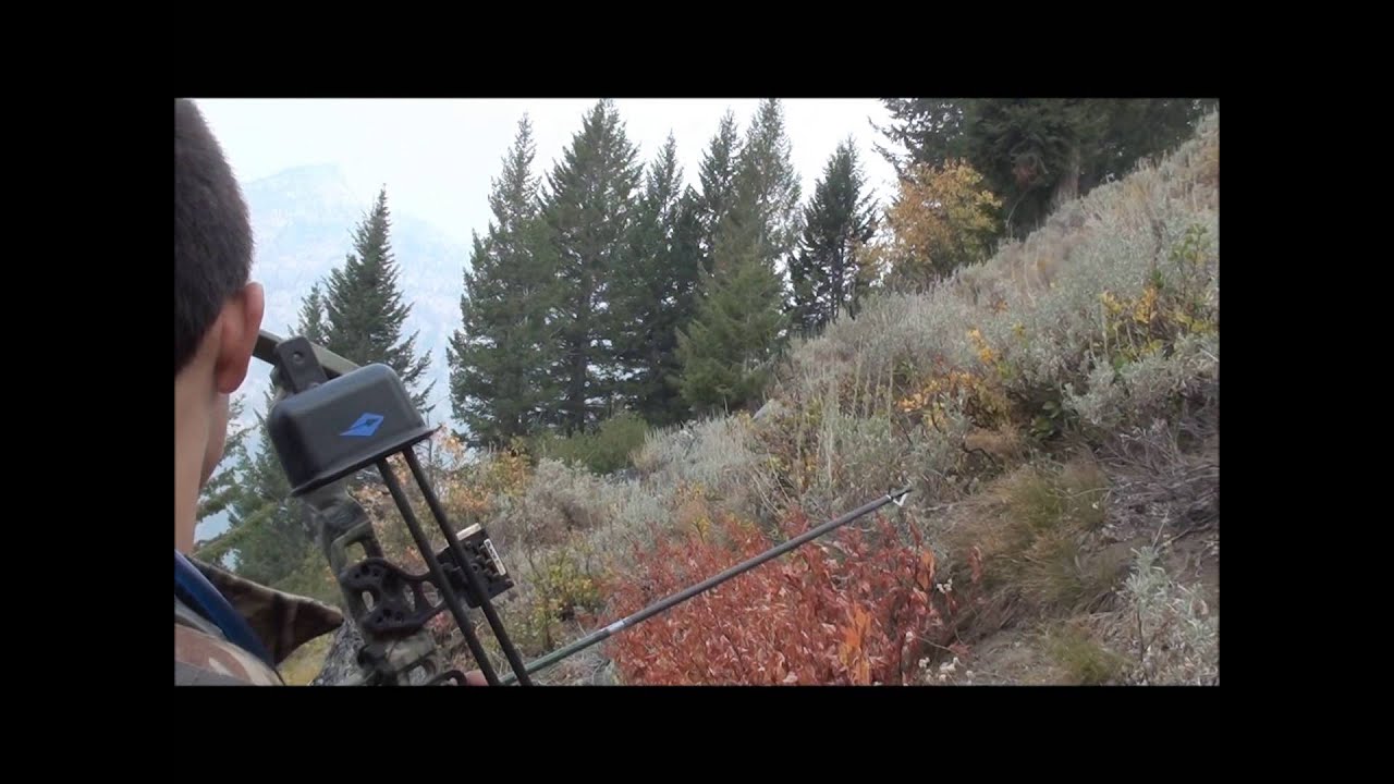 ElkNut: Grandson Tanner's Big Bull Elk Shot