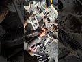 Bajaj Platina cam chain #bollywood #hindisong #viralvideo #automobile #motorcycle #youtubeshorts