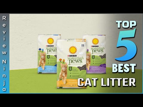 Video: Cat Litter Reviews: Brand Reviews y The Best Clumping Cat Litter