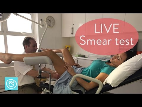 Wallpapers - ADO Den Haag Download Videos 3gp, mp4, mp3 - Wapistan.info