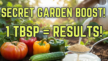 1 Tablespoon = DOUBLE HARVEST! The Untold Fertilizer Trick Big Garden Stores Hide
