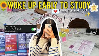 Morning study vlog as a cbse 10th grader💗🌷✨#fypシ #10thgrader #study @oswaal-books #oswaalbooks 