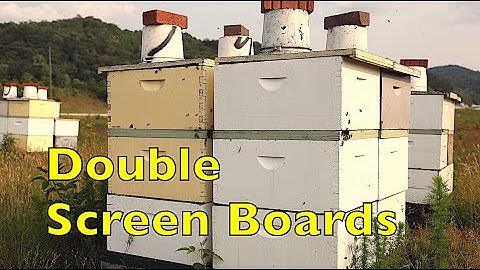 Using Double Screen Boards to Requeen Colonies and Maximize Honey Production