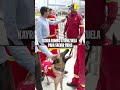 Kayra, la perrita rescatista, viaja a Venezuela para salvar vidas