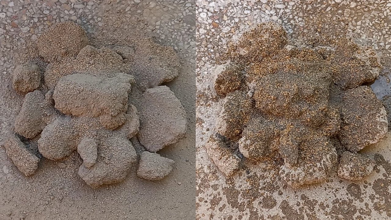 Asmr:🧡Grainy Texture Crispy Chunks Floor Crumbling 💯