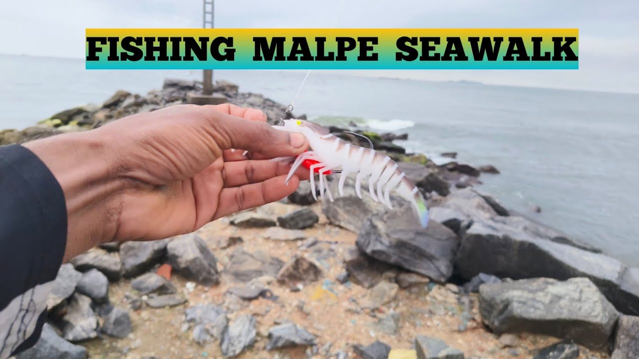 FISHING MALPE SEAWALK#fish #seafood #trinding #angler 