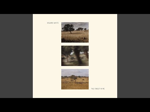 Xylouris White — Forest In Me