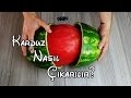 Karpuz Nasıl Çıkarılır? - Best Watermelon Trick - (Karpuzu bütün çıkarıp arkadaşlarınızı şaşırtın!)