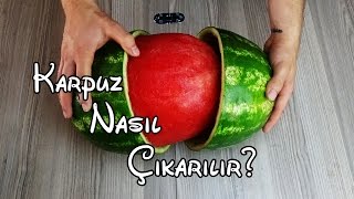 Download lagu Karpuz Nasıl Çıkarılır Best Watermelon Trick Karpuz Nasıl Çıkarılır Best Watermelon Trick