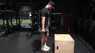 Dumbbell Alternating Step Ups