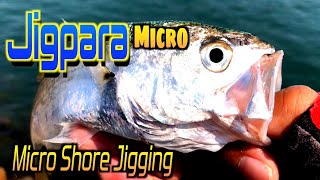 [Major Craft Jigpara Micro 7g] How to use? [Micro Shore Jigging]
