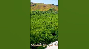 سورة الرعد و،،كا؛؛نك تسمعها لأ،،و.،ل مر.ة 🌹؛؛💔..🧡💚💐؛💕بصوت الشيخ حمزة مد،بو.ح 🌼💮؛،🌸.💞💓.🌸،،💟