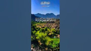 تلاوة خاشعة قرأن كريم بصوت جميل يريح قلبك #elmulquranعلم #تلاوة #قران_كريم #المصحف #اكسبلور #trend