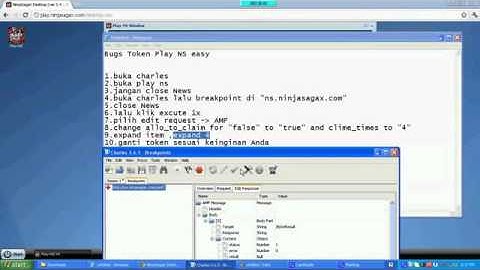 Bugs Token Ninja Saga 2012.mp4