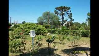 Himno Nacional Argentino