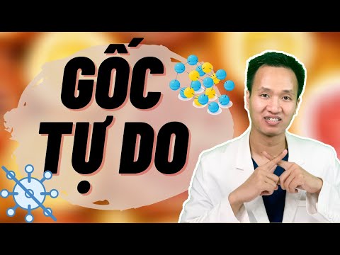 Video: Từ gốc của tu là gì?