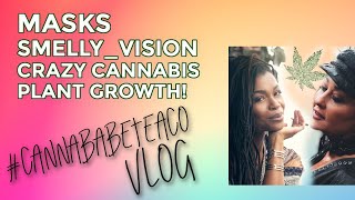 CANNABABE VLOG #005: Mask Time! Smelly-Vision? Crazy Cannabis Plant Growth!