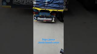 Janda Bawah Umur Jamur