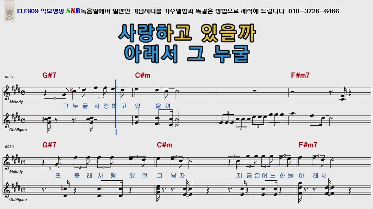 김지애 몰래한사랑